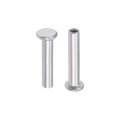 100 Pcs 2mm X 10mm Aluminum Flat Head Semi-tubular Rivets Silver Tone 