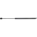 Liftgate Glass Lift Support For Mercury Mountaineer 1997 1998 1999 2000 2001 Driver Or Passenger Side Single Piece Gas Charged 