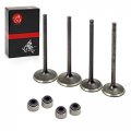 Intake Exhaust Valves And Seal For Polaris Predator 500 2003-2007 Outlaw 2006-2007