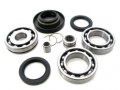 Rear Differential Bearings And Seals Kit For Honda Trx450es Trx450s 1998 2001 Includes Repair Sleeve 3 1 Needle Bearing 2 