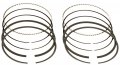 Hastings 2c4573 2-cylinder Piston Ring Set 