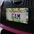 Dc Super Hero Girls Green Lantern License Plate Tag Frame