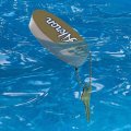 Graphics More University Of Akron Secondary Floating Keychain Oval Foam Fishing Boat Buoy Key Float