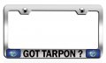 Got Tarpon Fishing Chrome Metal License Plate Frame Tag Holder P97 