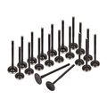 97-06 Audi A4 Tt Quattro Volkswagen Beetle Goft Jetta Passat 1 8 Dohc Turbo Intake Exhaust Valves