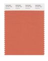 Pantone Smart 16-1441x Color Swatch Card Arabesque 