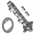 Caltric Camshaft And Timing Gear Sprocket Compatible With Honda Trx400ex Sportrax 400 1999-2007