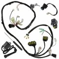 Caltric Wiring Harness Switch Key Coil Starter Relay Compatible With Suzuki Quadsport Lt-z400 Ltz400 2004