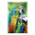Graphics Wallplates Exotic Pet Bird Macaw Parrots Single Rocker Gfci Wall Plate Cover 