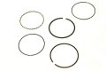 Polaris Ranger Piston Ring Set 010 In Genuine Oem Part Qty 1