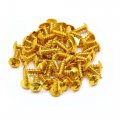 Uxcell 50pcs Gold Tone Motorcycle Round Cross Head Self Tapping Bolts Bumper Screws Metal Universal Replacement