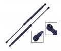 2 Pieces Set Tuff Support Liftgate Lift Supports 2002 To 2005 Audi A4 Quattro Wagon Only 