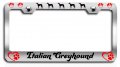 Italian Greyhound Dogs Pets Chrome Metal License Plate Frame Tag Holder D43 
