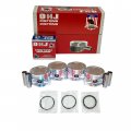 Dnj Prk294 Piston And Ring Kit For 1988-1991 Honda Civic Crx 1 6l L4 Sohc 16v Naturally Aspirated D16a6 