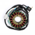 Topteng Magneto Stator Ignition Coil Motorcycle Generator Engine Fits For Yamaha Xvs125 Drag Star 2000-2004 Xvs250 2000-2006