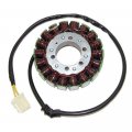 Electrosport Esg918 Stator Aprilia Rst1000 