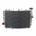 Alloyworks Aluminum Radiator For 1998-2003 99 2002 Kawasaki Ninja Zx-9 Zx-9r Zx9r Zx900 