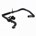 Motorcraft Hose