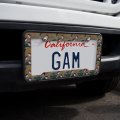 Fun Little Purple Birds Pattern License Plate Tag Frame