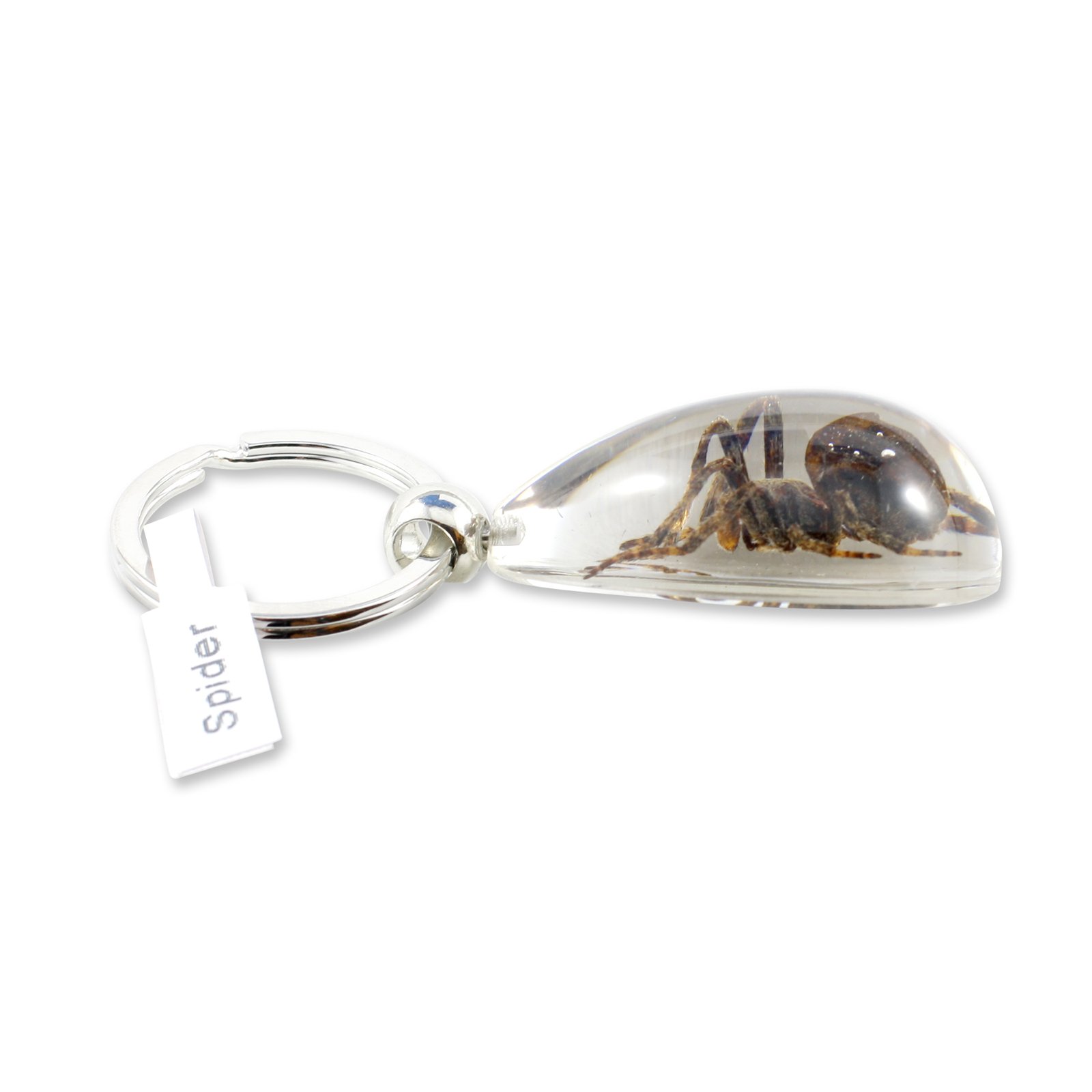 Realbug Spider Tear Drop Clear Key Chain