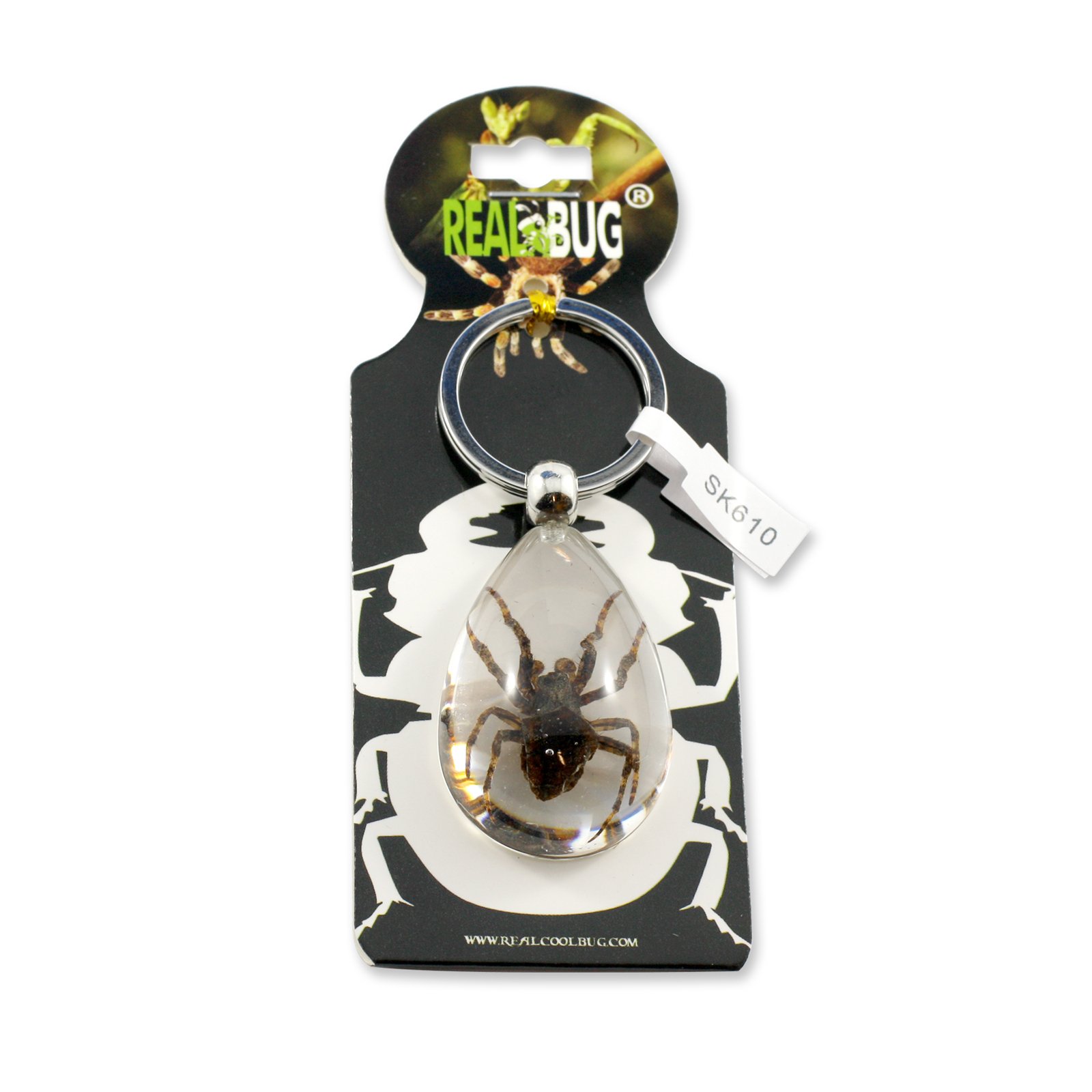 Realbug Spider Tear Drop Clear Key Chain