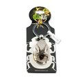 Realbug Spider Tear Drop Clear Key Chain