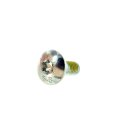 Ski-doo New Brake System Torx Screw 250000365 