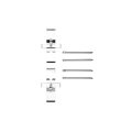 Disc Brake Hardware Set For Volkswagen Touareg 2006 2018 Front Or Rear Axle Alx Pau Df 340 74016 Cla5 