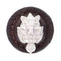Vicenza Designs K1270 Pollino Turtle Round Leather Knob Large Brown Polished Silver 
