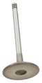 Ae Intake Valve 