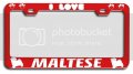 I Love Maltese Dogs Pets Rd Metal License Plate Frame Tag Holder A94 