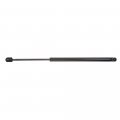 Ocpty Lift Supports Gas Springs Struts Shocks 4191 Sg304047 Strut Fits For Ford Expedition 4 6l 2003-2004 For 5 4l 2003-2006