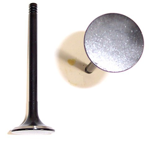 Dnj Engine Components Ev319 Exhaust Valve