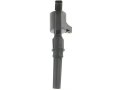 Ignition Coil For 1999 To 2004 Ford F-53 Motorhome Chassis W0146-r189172 Direct Fit 
