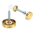 16 Pcs Screw Covers Caps 304 Stainless Steel Mirror Screws Decorative Cover Nails Fasteners For Sign Advertising Hardware 