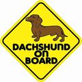 5in X Dachshund On Board Dog Magnet Bumper Magnetic Vinyl Magnets By Stickertalk 
