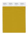 Pantone Smart 16-0954x Color Swatch Card Arrowwood 