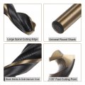Uxcell 12pcs Jobber Drill Bits 5 5mm Black Nitride Gold Titanium Coated 4341 High Speed Steel Hss 135 Degree Split Point Twist