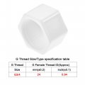 Uxcell G3 4 Pipe Fitting Cap Ppr Hex Female Thread Hose Connector For Garden And Outdoor Water Pipes End White 6pcs