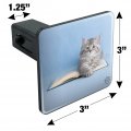 Siberian Tabby Kitten Cat Sitting Reading Book Tow Trailer Hitch Cover Plug Insert