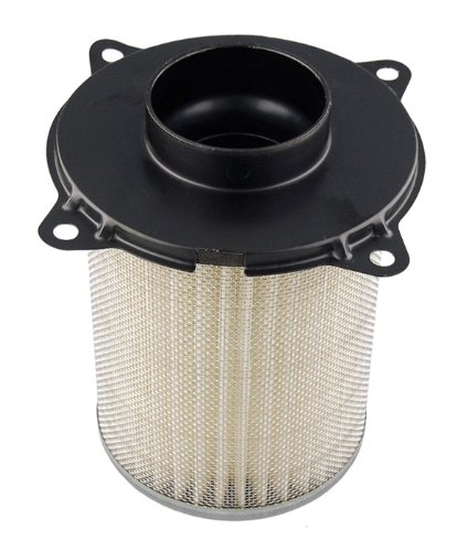 Hiflofiltro Hfa3803 Premium Oe Replacement Air Filter