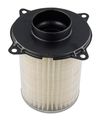 Hiflofiltro Hfa3803 Premium Oe Replacement Air Filter 
