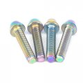 Sorekarain 4 Pcs M4x20mm Rainbow Gr5 Titanium Cone Head Bolts For Bike Rear Derailleur