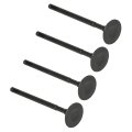 Cylinman Cylinder Intake Exhaust Valve Kit Fit For Honda Sportrax 300 Trx300ex 2x4 1993-2008 Trx300x 2008