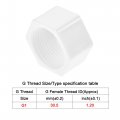 Uxcell G1 Pipe Fitting Cap Ppr Hex Female Thread Hose Connector For Garden And Outdoor Water Pipes End White 6pcs