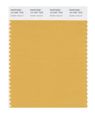 Pantone Smart 14-1041x Color Swatch Card Golden Apricot 
