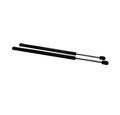 A-premium Hood Lift Supports Shock Struts For Honda Accord 1998 1999 2000 2001 2002 2-pc Set