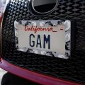 Dragons In Love License Plate Tag Frame