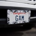 Dragons In Love License Plate Tag Frame