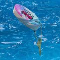 Graphics More Birds Of Prey Ladies Floating Keychain Oval Foam Fishing Boat Buoy Key Float 
